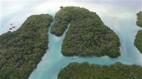 Tropical_Boat_Maze