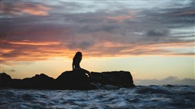 Enjoying the Sunset