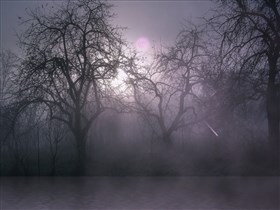 Pink_Forest