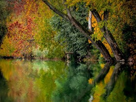 Beautiful_Autumn_River