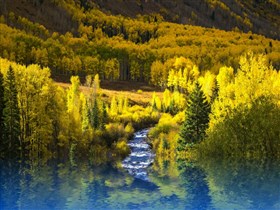 Yellow_Creek