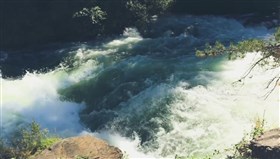 Forest_Rapids