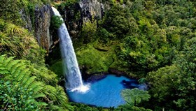 RainForest_Pool