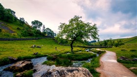 Beautiful_Country_Stream