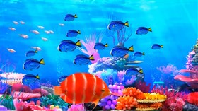 Under The Sea