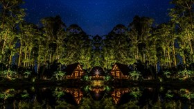 Island Nights