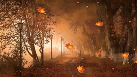 Strange Autumn