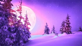 Winter Purple