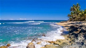 Rocky Shores