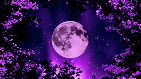 Framed Moon