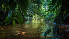 4K Sri Lanka Stream