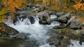 Rocky River 3