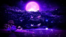 Moon Pond