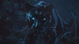 4K Panther