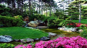 Spring Garden Stream