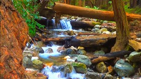 Redwood River