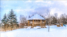 Snow Flakes