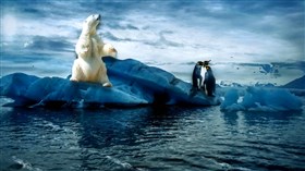 Arctic Holiday