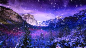 Yosemite Winter