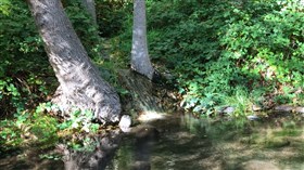 Stream Falls
