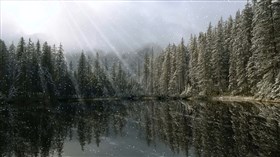 Snow Beams