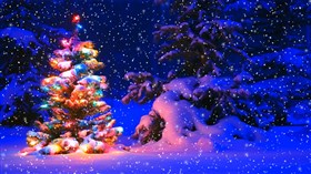 Holiday Tree