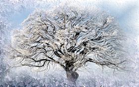 Ice Willow 2  