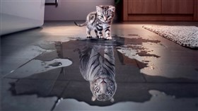 Kitty Tiger 4K