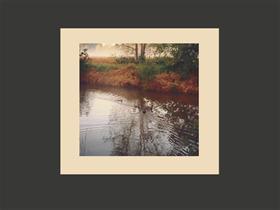 My Pond