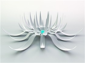 white flower 2