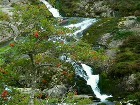 Ogwen falls3