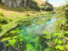 flossy moss stream