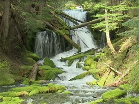 spring creek