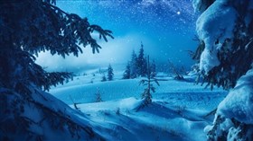 Winter Mountainforest 2