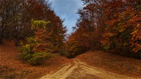 Convergence (UHD)