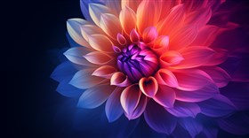 Flower Gradient