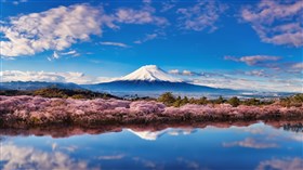 Love for Fuji