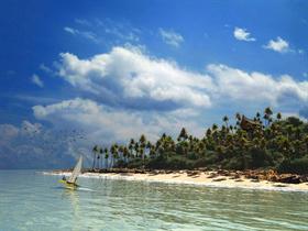 Holiday