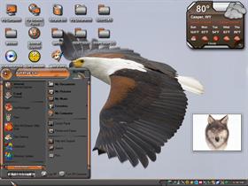 Eagle and wolf