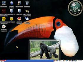 tucan 2