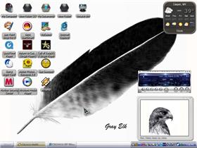 black feather 2