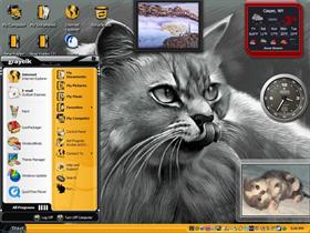 yum cat