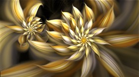 Sunflower May
