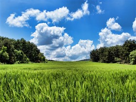 Spring Fields in Spain