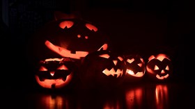 Halloween Jack O' Lanterns 