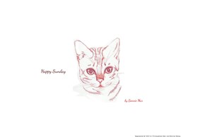 Happy Sunday