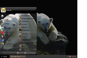 Polar Bear Dreams