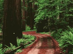 OldDirtRoad