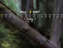HVLinearCalendarBasic