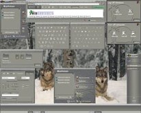 Burrlap Dream